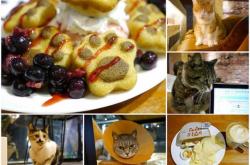 赤峰貓咖館帝豪店電話號碼