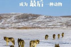 赤峰野生動(dòng)物保護(hù)站電話號(hào)碼