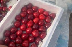 赤峰櫻桃商家電話地址是多少號