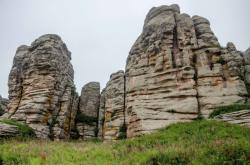 赤峰附近草塊加工廠電話號碼