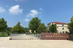 赤峰畜牧局賣種牛的電話號碼