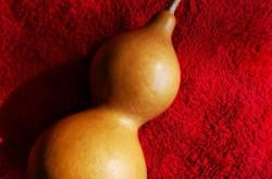 赤峰福祿克店電話號(hào)碼查詢