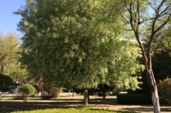 赤峰紅山區(qū)鑫緣賓館電話(huà)號(hào)碼