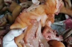 赤峰大鵝牛頭店電話號碼多少