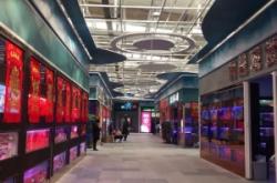 赤峰寵物水族館電話多少號