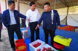 烏敦套海到赤峰客車電話號碼