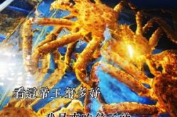 赤峰福心餃子館地址電話號碼