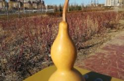 赤峰市玉龍垂釣園地址電話號碼