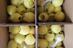 赤峰直播帶貨水果店電話號(hào)碼