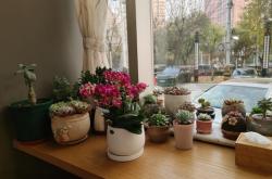 赤峰小資咖啡館電話多少號(hào)