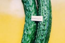 赤峰市區(qū)蔬菜包裝廠電話號碼