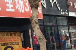 赤峰回收化妝品店電話號碼