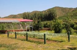 赤峰林家酒坊電話號碼多少號