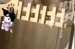 赤峰貓咪配對公司電話是多少號(hào)