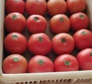 赤峰收購辣菜地點電話是多少號