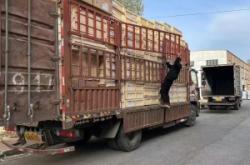 赤峰到宜賓物流電話號(hào)碼多少