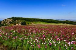 赤峰花海雪園滑雪場電話號碼