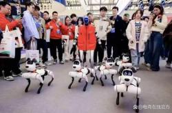 赤峰機(jī)器人租賃電話多少號