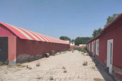 赤峰烏丹寵物醫(yī)院電話地址查詢