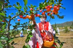 赤峰市八棱海棠社區(qū)電話號碼