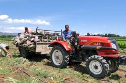 赤峰松山區(qū)勞務市場電話號碼