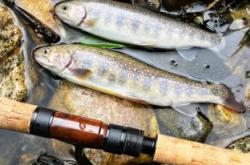 赤峰市溪流魚館電話地址查詢