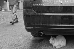 洛陽到赤峰私家車群電話號(hào)碼