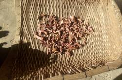 赤峰哪里產紅蘑