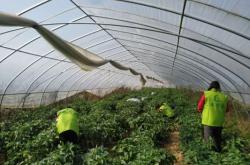 赤峰市樂百物品配送服務(wù)部