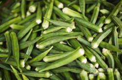 赤峰秋葵清洗機(jī)電話號(hào)碼查詢