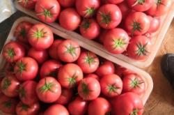 赤峰大廟粉果店電話號碼查詢