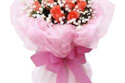 赤峰耐寒玫瑰花批發(fā)電話號(hào)碼