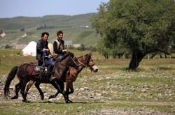 赤峰牧馬人牧場地址電話號碼