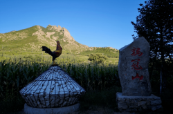 赤峰到南大營(yíng)子拼車電話號(hào)碼