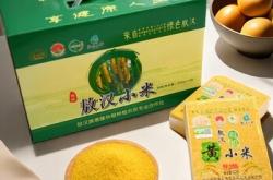 小米價格赤峰售后電話是多少啊