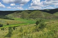 內(nèi)蒙赤峰西烏旗羊肉店電話號(hào)碼