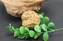 赤峰崖柏商貿(mào)公司電話號碼查詢