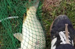 赤峰壩下漁村電話號(hào)碼查詢是多少