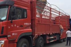 赤峰找13米貨車車隊電話號碼