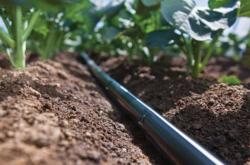 赤峰滴灌管廠家電話號(hào)碼查詢