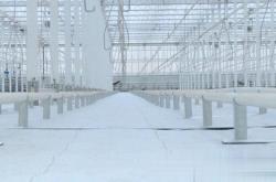 赤峰大棚種植基地