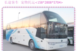 赤峰到銀川大巴車電話號碼是多少