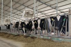 赤峰康貝奶牛場電話地址查詢