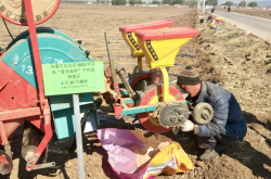 赤峰收玉米粒電話號碼是多少