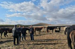 赤峰市衛(wèi)生規(guī)劃局電話號碼