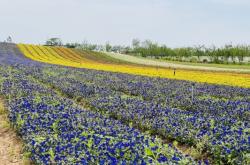 赤峰熱水鎮(zhèn)露營地點電話號碼