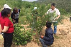 赤峰市文冠果油廠地址電話號(hào)碼