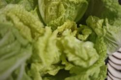 赤峰烤鴿子店電話地址是多少號(hào)