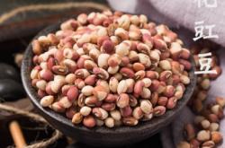 赤峰豆米清洗機售后電話號碼