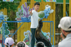 赤峰荊棘萌寵樂(lè)園電話號(hào)碼查詢(xún)